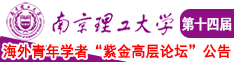 b太骚求操久久南京理工大学第十四届海外青年学者紫金论坛诚邀海内外英才！